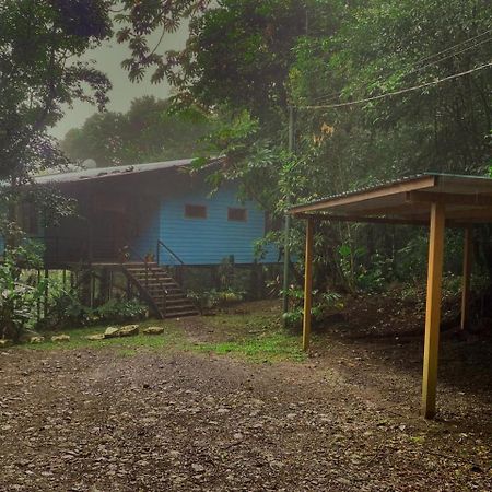 Above The Gulf, Vacation House Monteverde Exterior foto